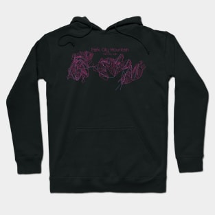 Park City Trail Map Pink Hoodie